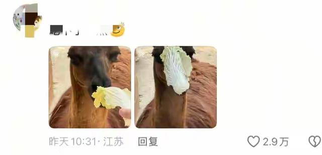 笑不活了 国庆假期结束 动物园里的动物成了第一批“受害者”