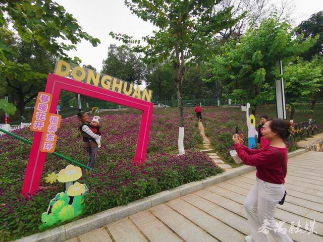 古树公园换新装 番禺东环街“百千万工程”绘就生态新景