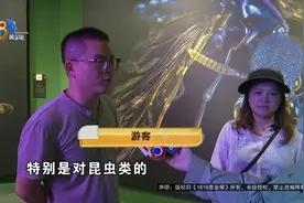“小孩哥”太厉害了，他说还曾经养过……图片