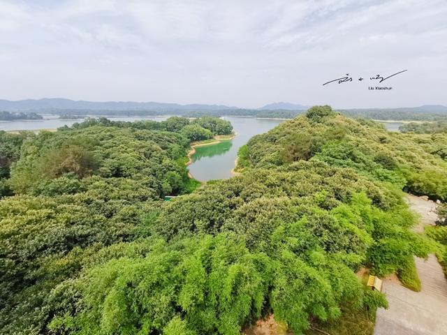 “最不像河南”的河南城市：不南不北的尴尬地，总被错认成湖北？