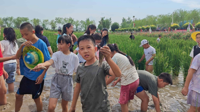 2025精神文明建设项目进行时｜整合资源 创新模式 银川十大科普研学路线开启青少年科学奇妙游
