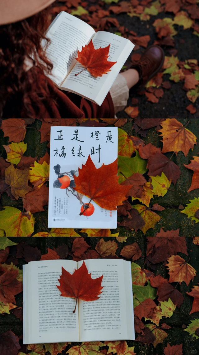 轨道直达！重庆“顶流”梧桐大道已经美到next level了！