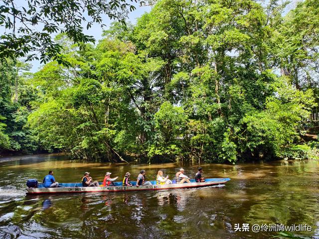 马来西亚(29)砂拉越州③姆鲁山清水洞·风洞