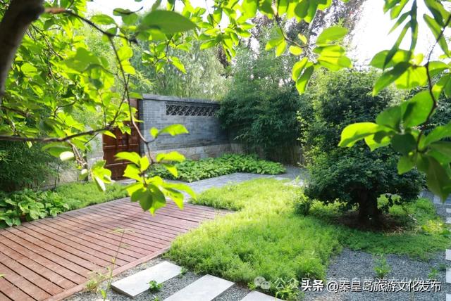 免费！秦皇岛这个特色小镇开园啦，美似江南，夜景迷人！