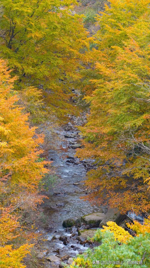 多图实拍！这才是汉中的秋日顶流！