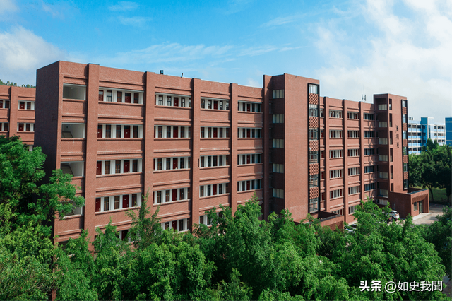 刘强东美女助理：出身普通，却深得刘强东信任，名下400多家公司