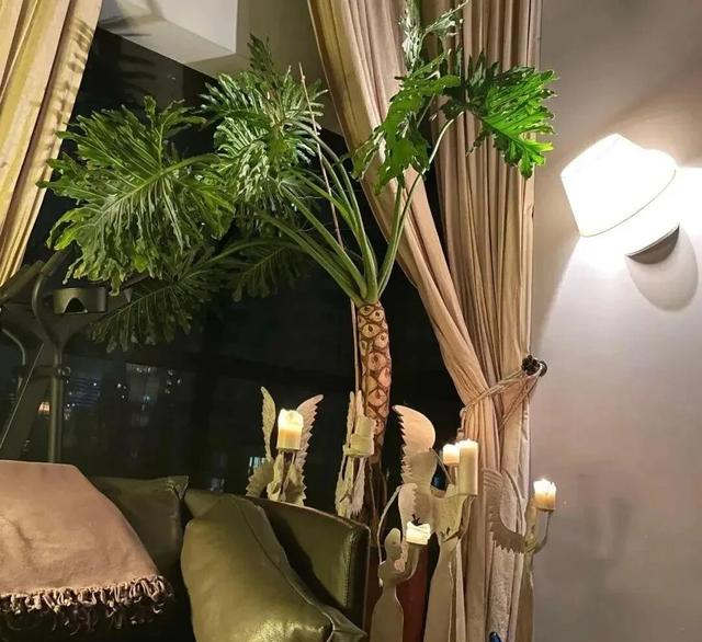 46岁殷桃的“豪宅”又火了，仅一院子就圈粉无数	，那叫一个壮观！