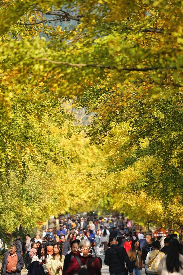 漫游韶关，赴一场山水间的秋日之约