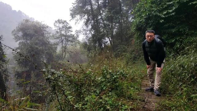 重庆南山被遗忘的千年古道，曾是重庆出川重要通道，如今成为秘境