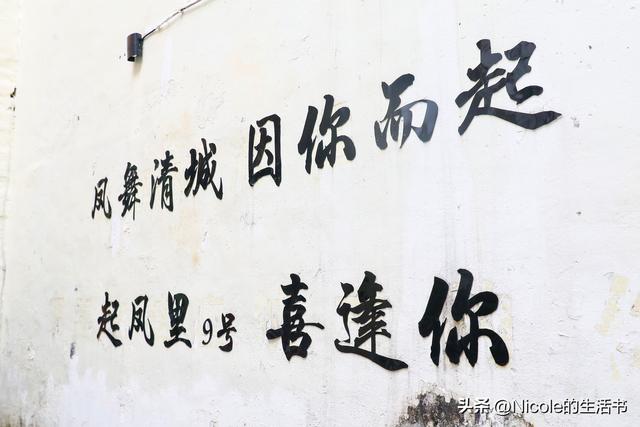 凤城寻踪：一条老巷与一座城的文化觉醒