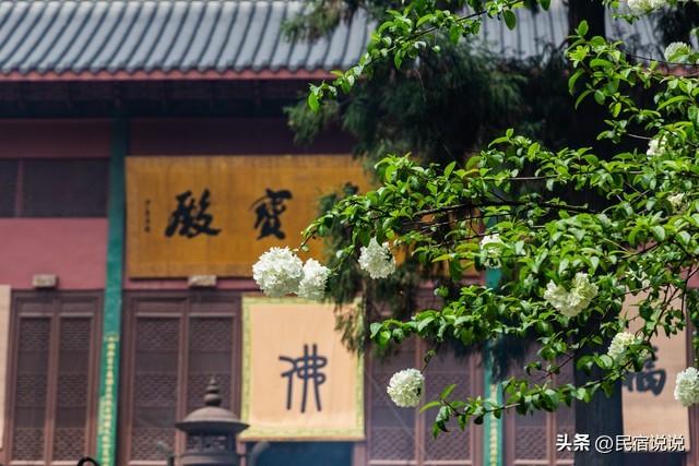 《太平年》用大历史带我们逛八城美景，绝啦！