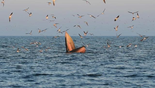 地理冷知识—12月份去哪旅游