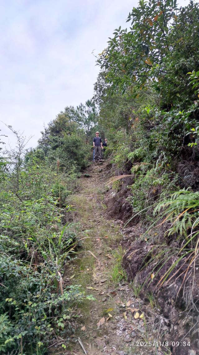 再访仙居县卡岩仙师庙，原来张三郎并不孤单，梁祝故事现台州