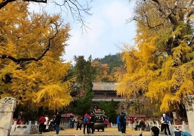 中国有一古寺，庙不大，却有武警24小时站岗，有何“过人之处”？