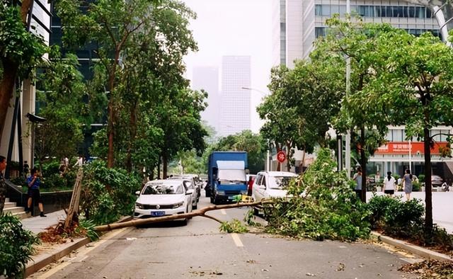 有人预测：不出意外	，2月开始将呈现5大现象，老百姓需做好准备