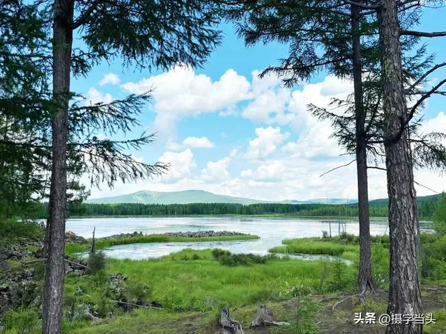 在阿尔山，邂逅一个22℃的夏天
