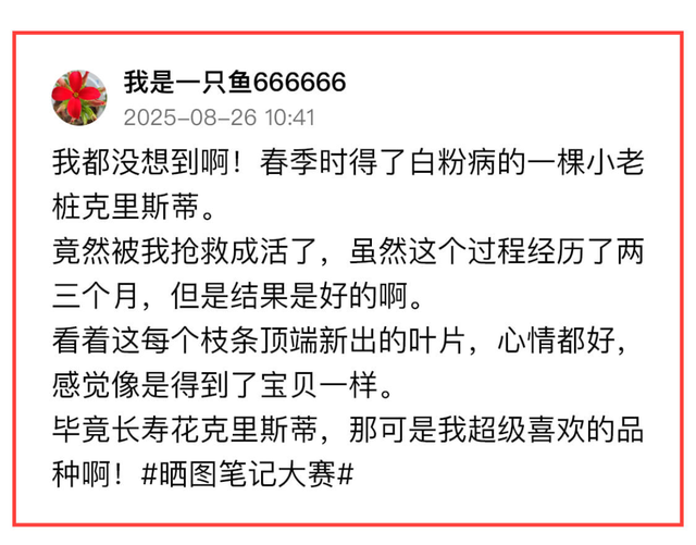 敢不敢来参加头条园艺pk赛