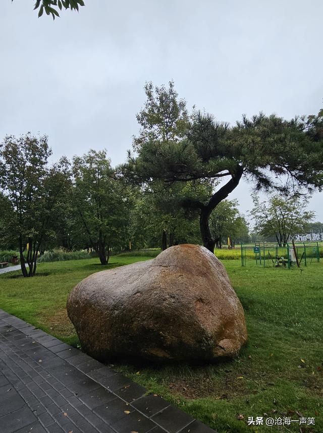 田园风光，雨中激景，风萧萧兮易水寒，深秋一去兮不复还!