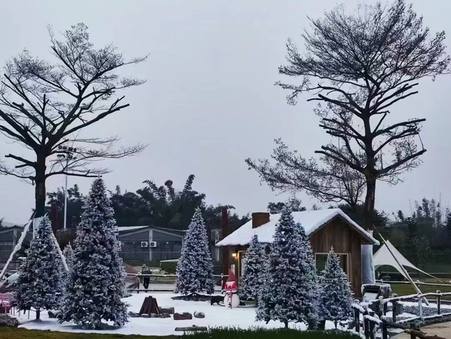 佛山有数丨2026年第1秒和第1天，你计划在佛山哪里度过？