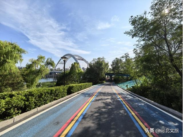 绝美骑行路线！七里河健身绿道北岸全程揭秘，每一帧都是风景画！