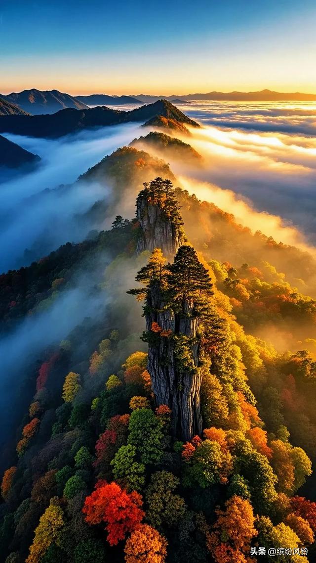 晨雾漫过秋山肩，层林燃作赤金焰