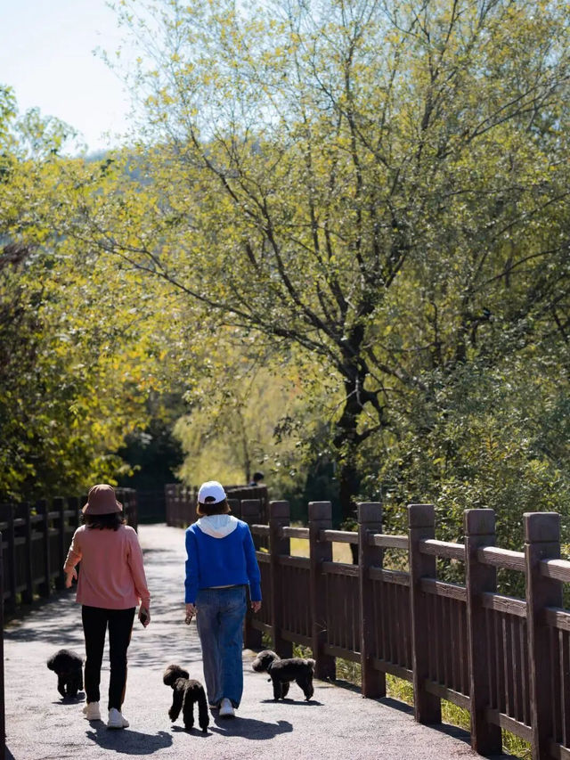 来木兰湖！把周末调成「户外模式」