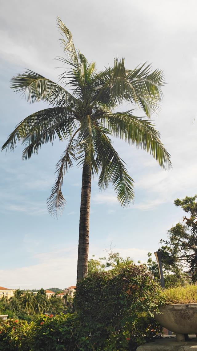 从新疆自驾到海南，车辆的消费怎样？