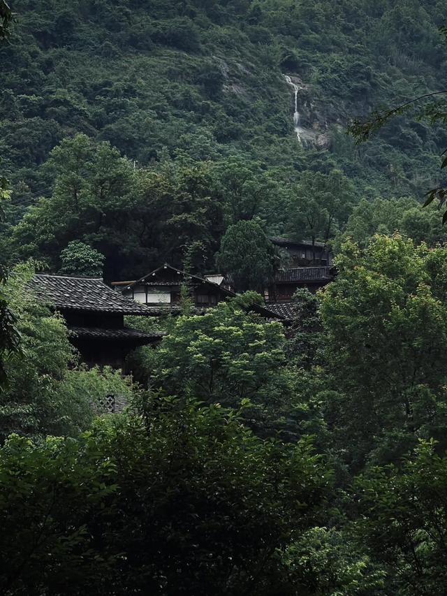 邂逅600年浙南古村！夏日闯入“碗窑”，寻得清凉避世仙境