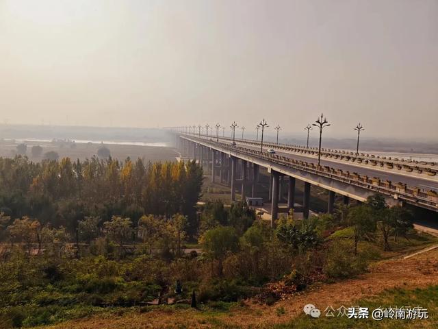 从西安出发1小时，隐藏在高陵河堤路边水上森林，美的令人窒息！