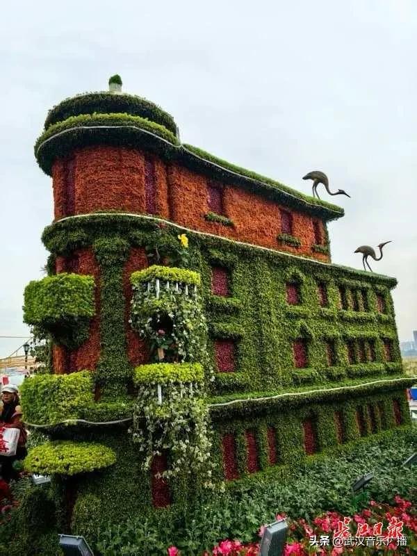 武汉地标纷纷“入景”金秋菊展