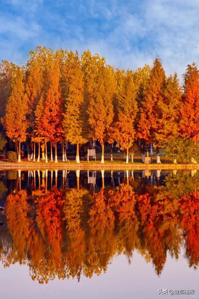 建邺5大封神赏景地,错过再等一年