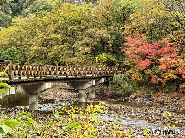 2025辽宁赏秋之旅日记(2)——游览丹东蒲石河森林公园