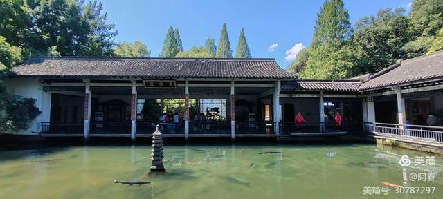 游西湖：杭州植物园之石蒜花展