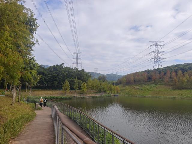 环西丽湖绿道骑行慢行随拍-动个好奇心