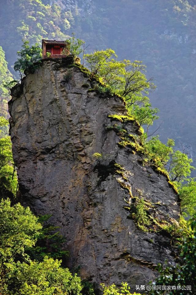 立秋已至，暑热未消，黑河山水与你相约“剩”夏的时光