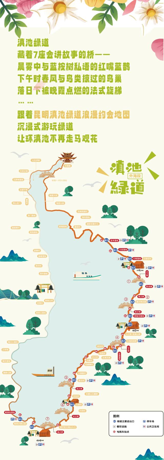 “人在画中游”！昆明这个湿地公园成“全民健身”热门打卡地