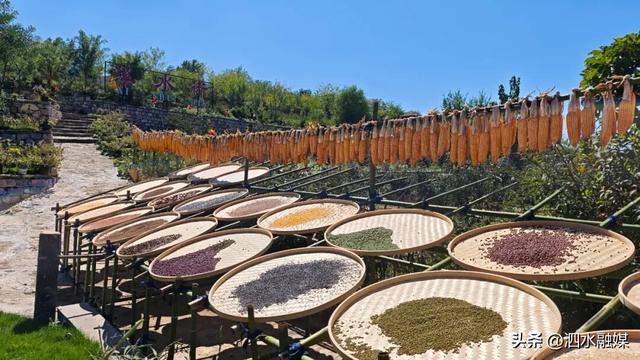 咔嚓🤳！抓住济宁秋天的“小尾巴”~