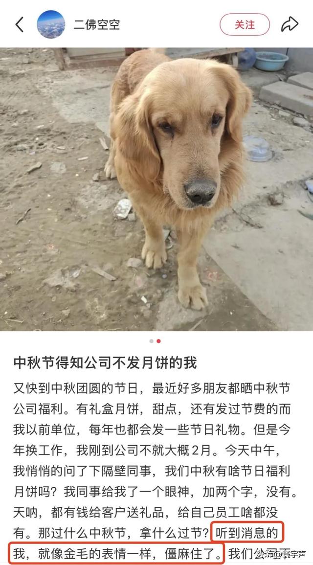 中秋月饼不只是吃食，职场人靠它辨公司状况，难吃根源终揭晓