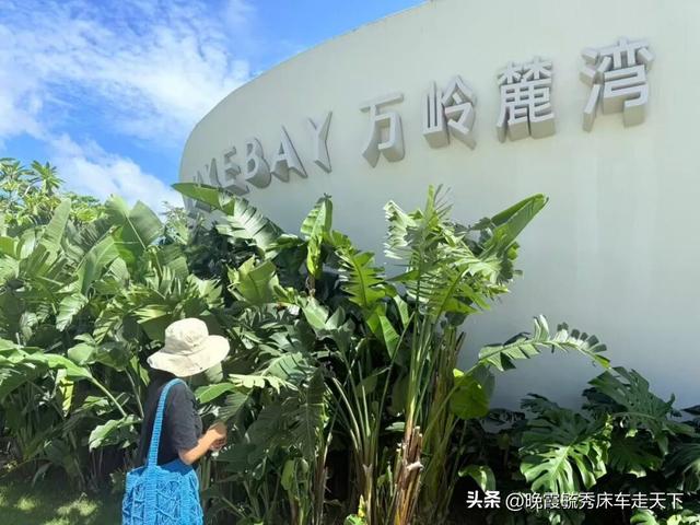 晚霞姐带你探寻海南的真实面貌——写于台风“剑鱼”过境之后