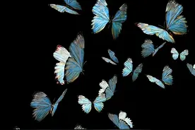 壁纸小馆:别问我有没有对象，我们神仙谈恋爱是违背天条的Ⅰ壁纸图片