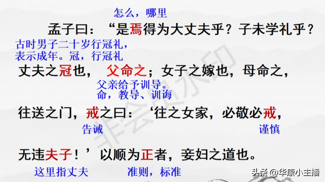 初中必背文言文：孟子《富贵不能淫》原文译文赏析 主持人康爸朗诵