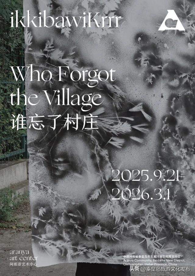 阿那亚十一海边游玩指南｜舞蹈节、雀跃镇大师赛、狗狗聚会、艺术展览，邂逅理想假日