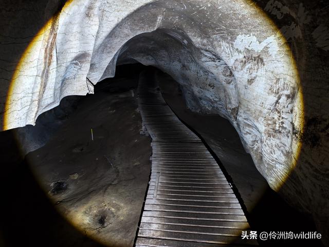 马来西亚(32)砂拉越州⑥世界遗产尼亚洞窟探险