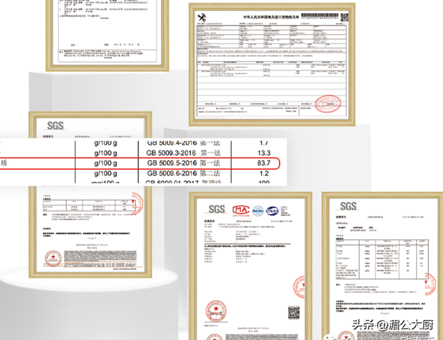 小龙胶是什么鱼 2026年小龙胶是什么鱼类