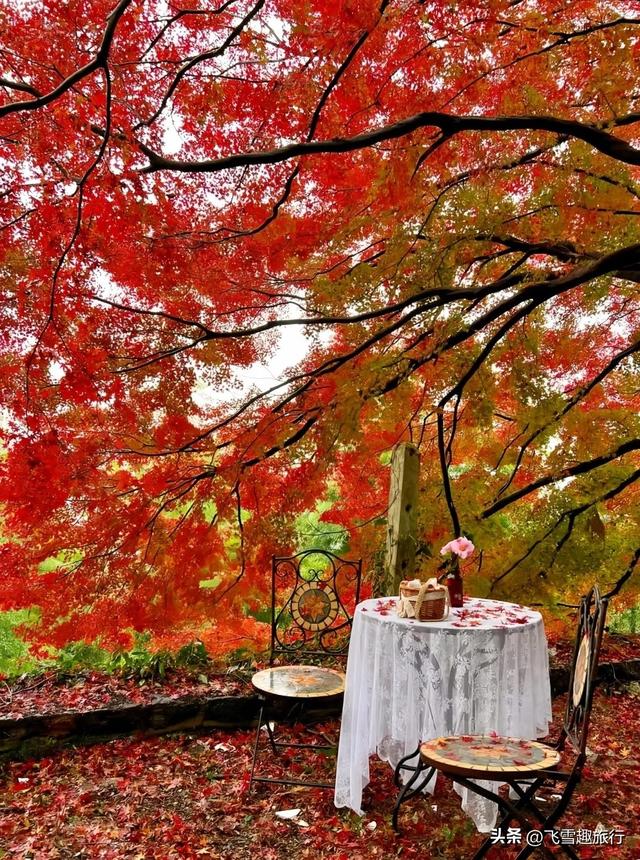 从杭州出发，一小时左右车程，五个风格各异的绝佳赏秋地