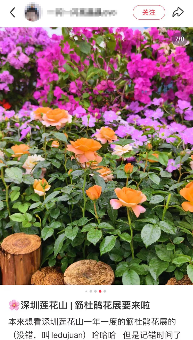 这周五，莲花山要热闹起来了！！