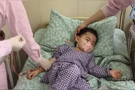年仅4岁半！双胞胎女儿携手捐献干细胞救母图片