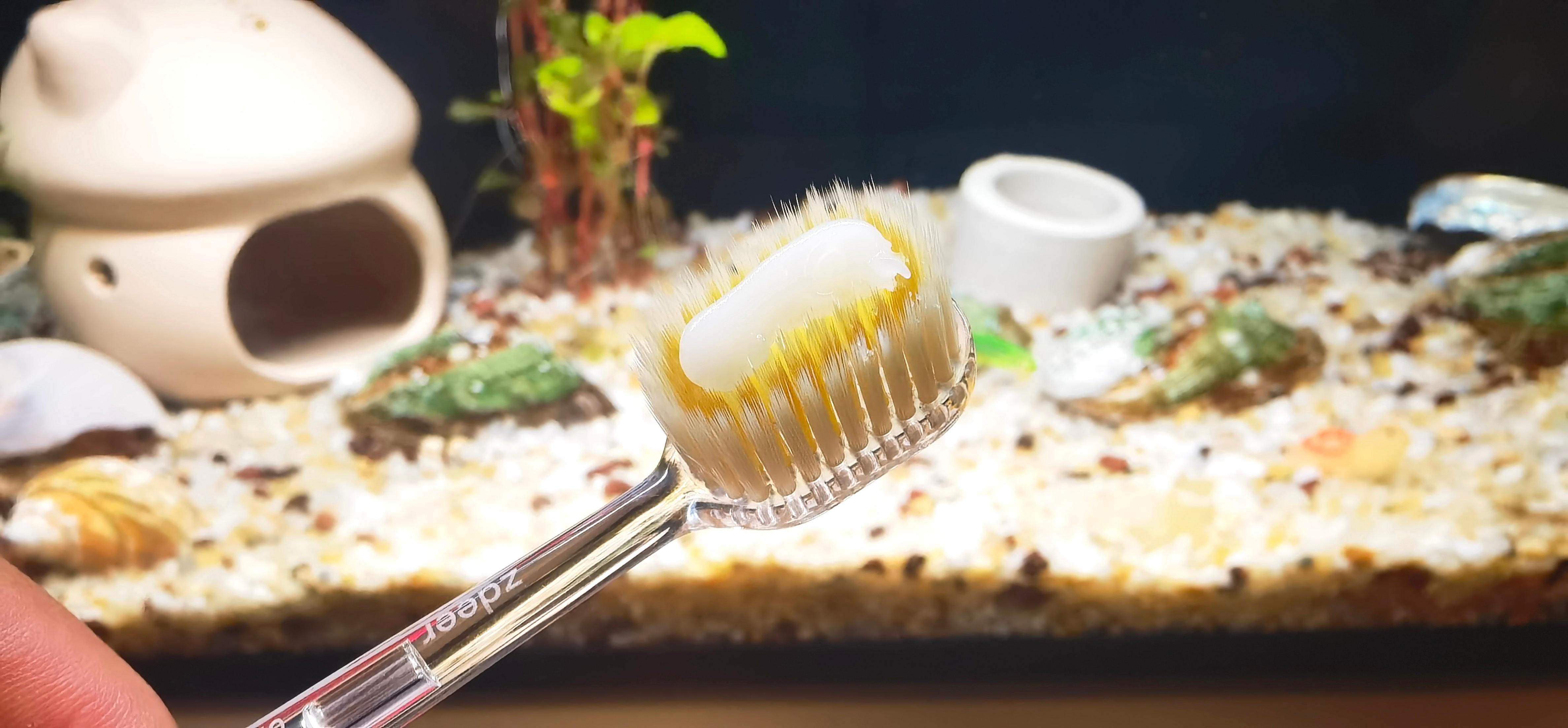 牙釉质修护再生硅牙膏护龈健齿配奢侈风金属柄牙刷,坏牙佬有救了