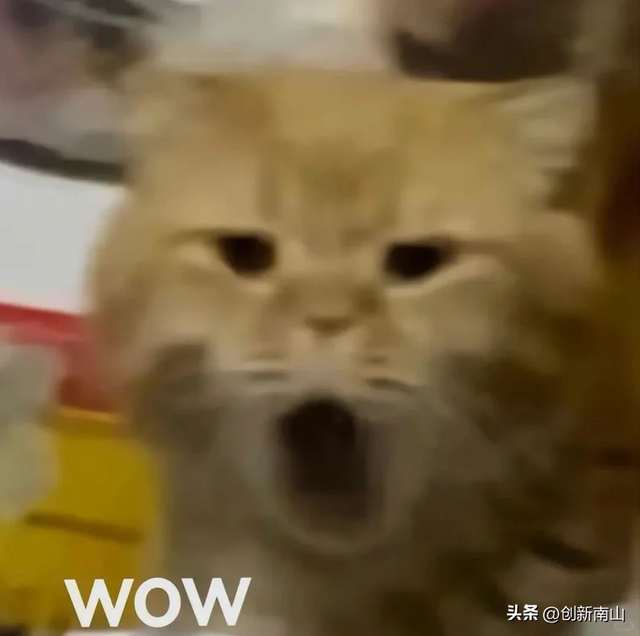 热搜第一！微信又更新了！网友：好好玩