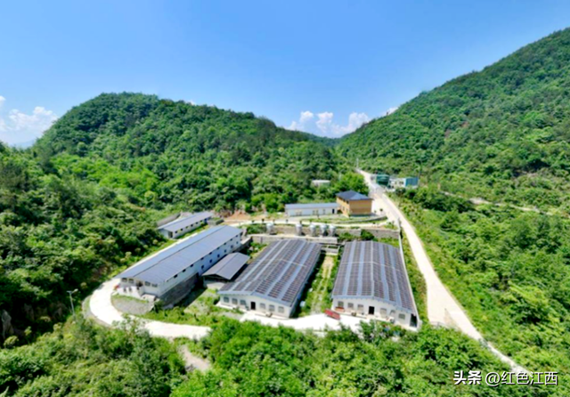 巴东云上土店记：一座零碳村的绿色诗行